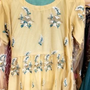 Net small pakistani dress